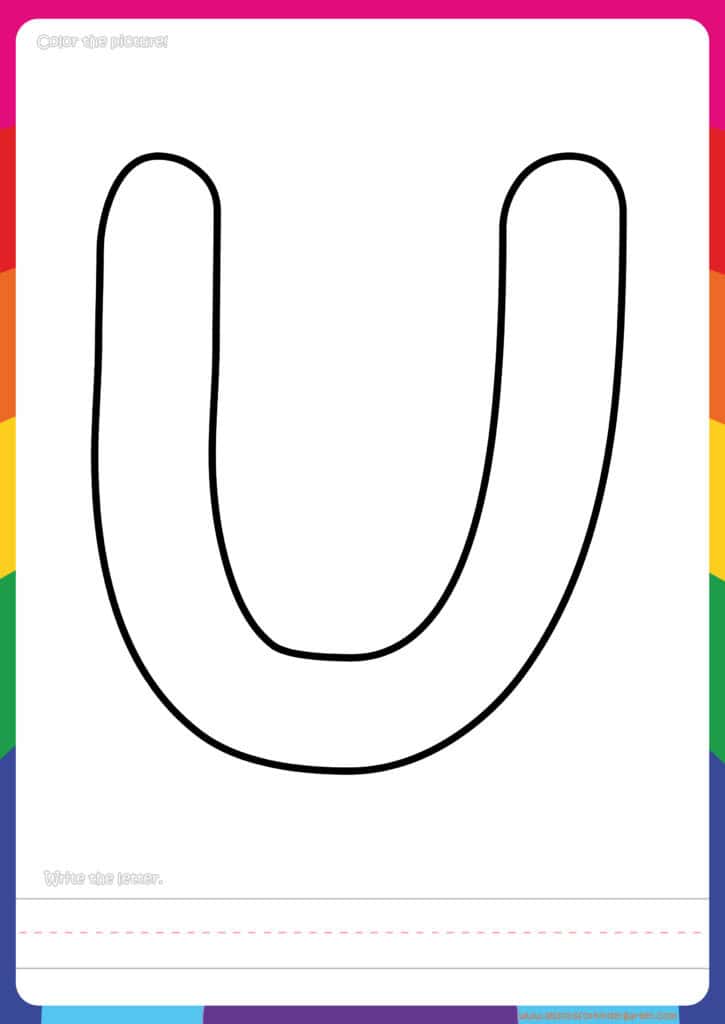 Animal Flashcards Bear