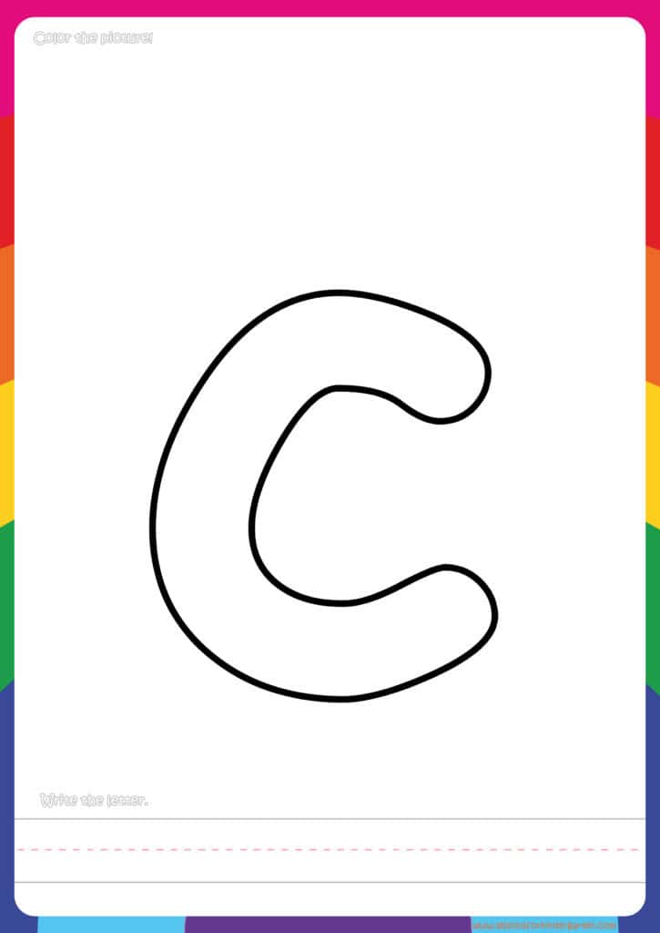 Animal Flashcards Jellyfish