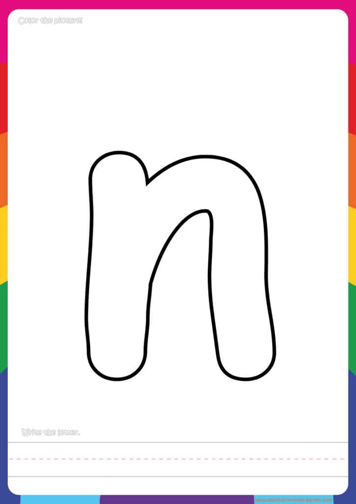 Animal Flashcards Urchin