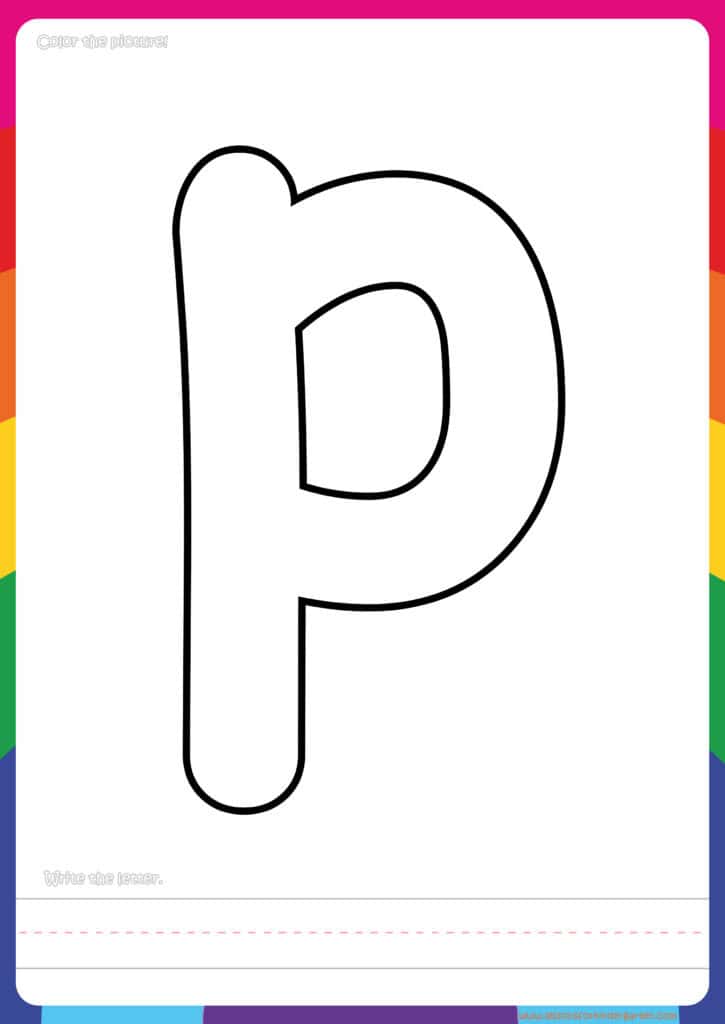 Animal Flashcards Whale